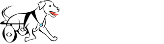 Walkin Wheels Review